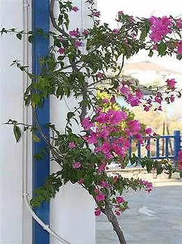 Ragoussis House شقة لوغاراس